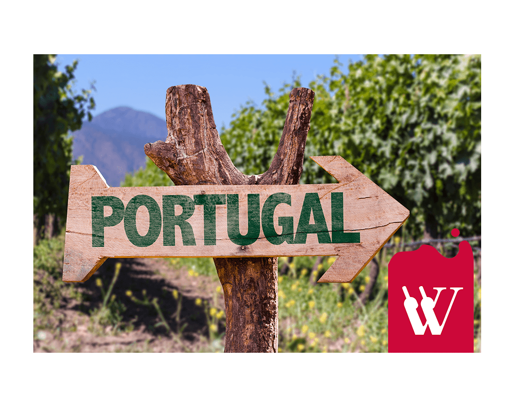 Najlepsze wina portugalskie na lato